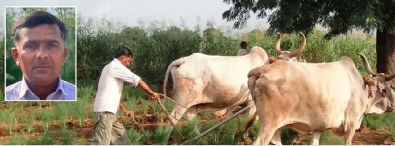 <p>Ishaq Ali from Mehsana in Gujarat, has a farm in a village in Sirohi district of Rajasthan. He is success personified as he has a solution for farming woes.&nbsp;</p>