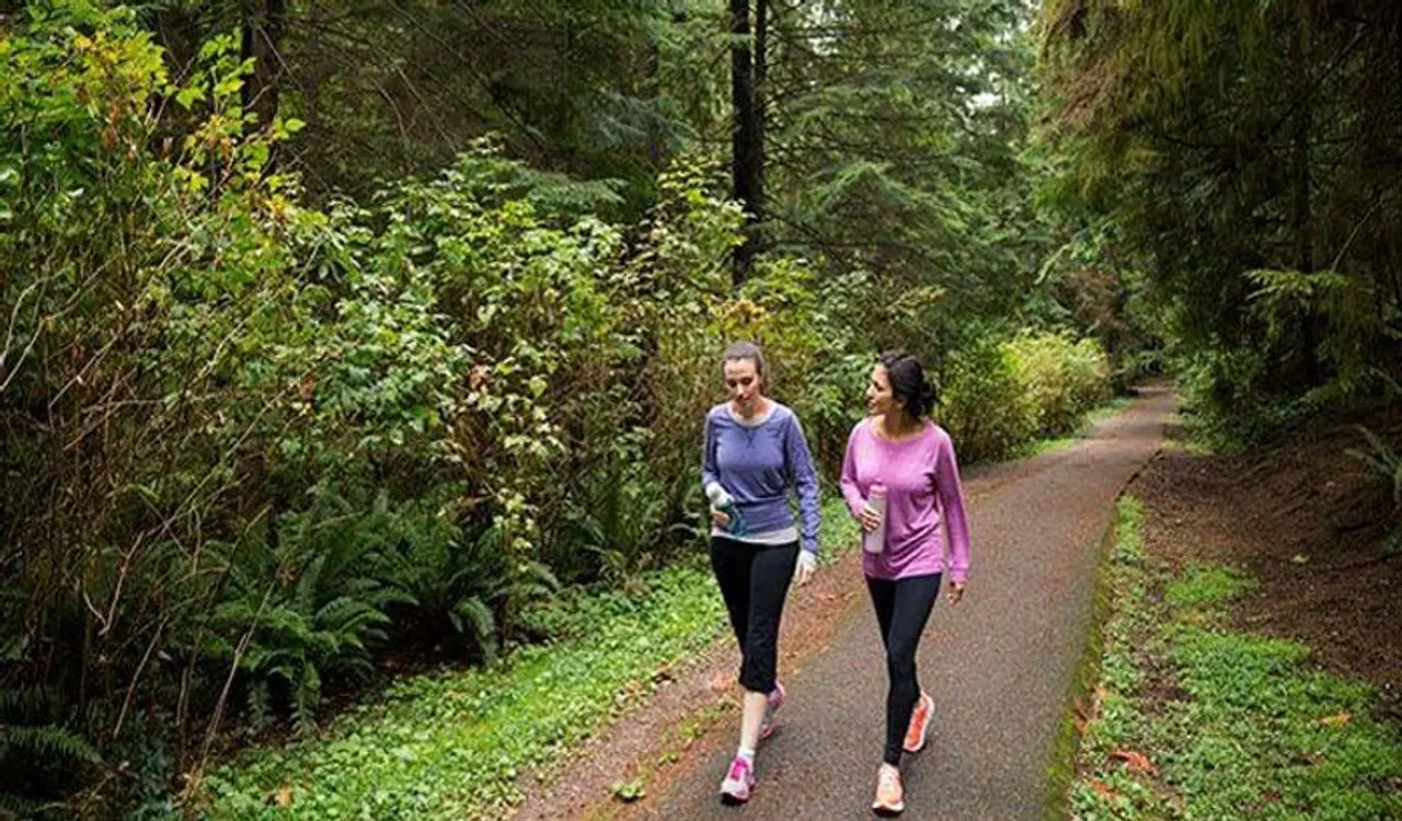 <p style="text align: justify;"><strong>ಹಿಮ್ಮುಖವಾಗಿ ನಡೆಯುವುದರಿಂದ ಆರೋಗ್ಯ ಪ್ರಯೋಜನಗಳು<br />ಪಾದಗಳ ಸ್ನಾಯುಗಳನ್ನು ಬಲಪಡಿಸಲು, ದೇಹದ ಸಮತೋಲನವನ್ನು ಹೆಚ್ಚಿಸಲು, ದೇಹದ ಸ್ಥಿರತೆಯನ್ನು ಹೆಚ್ಚಿಸಲು, ಕ್ರೀಡಾ ಕಾರ್ಯಕ್ಷಮತೆಯನ್ನು ಸುಧಾರಿಸಲು ರೆಟ್ರೊ ವಾಕಿಂಗ್ ಮಾಡಬಹುದು. </strong></p> <p style="text align: justify;"><strong>ಹಿಮ್ಮುಖವಾಗಿ ನಡೆಯುವುದರಿಂದ ಆರೋಗ್ಯ ಪ್ರಯೋಜನಗಳು<br />ಪಾದಗಳ ಸ್ನಾಯುಗಳನ್ನು ಬಲಪಡಿಸಲು, ದೇಹದ ಸಮತೋಲನವನ್ನು ಹೆಚ್ಚಿಸಲು, ದೇಹದ ಸ್ಥಿರತೆಯನ್ನು ಹೆಚ್ಚಿಸಲು, ಕ್ರೀಡಾ ಕಾರ್ಯಕ್ಷಮತೆಯನ್ನು ಸುಧಾರಿಸಲು ರೆಟ್ರೊ ವಾಕಿಂಗ್ ಮಾಡಬಹುದು. </strong></p>