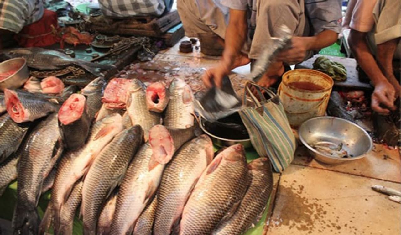 <p>ಮೀನು ಹೃದಯದ ಆರೋಗ್ಯಕ್ಕೆ ಉತ್ತಮ ಆಹಾರ. ಹೃದಯದ ಆರೋಗ್ಯಕ್ಕೆ ನೆರವಾಗುವಂತಹ ಒಮೆಗಾ 3 ಕೊಬ್ಬಿನಾಮ್ಲವು ಮೀನಿನಲ್ಲಿದೆ. ಇದು ಉರಿಯೂತ ಕಡಿಮೆ ಮಾಡುತ್ತದೆ. ಹೃದಯ ಸಮಸ್ಯೆಯಿಂದ ದೂರವಿರುತ್ತೀರಿ.&nbsp;</p>