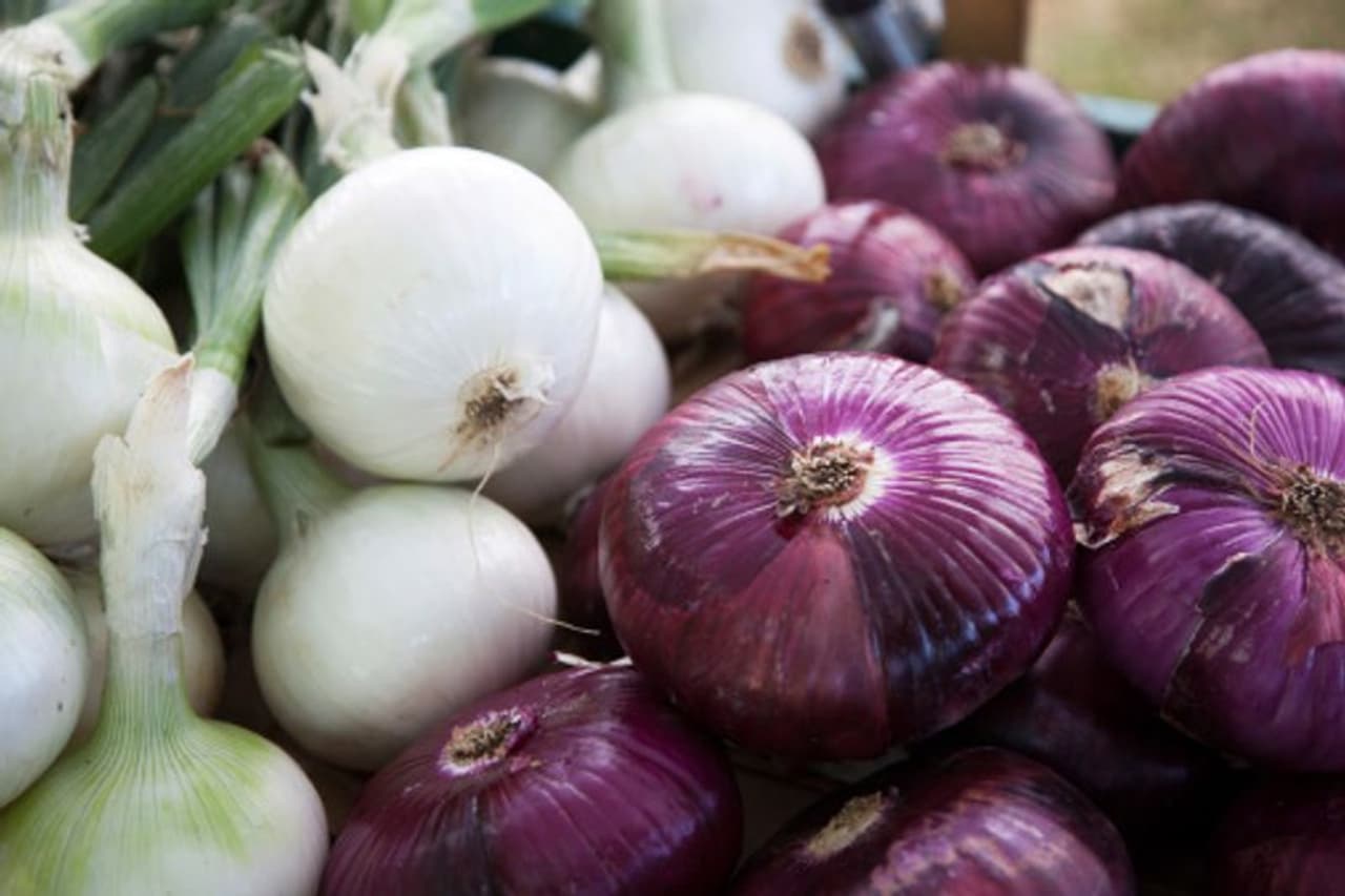சிவப்பு வெங்காயம் vs வெள்ளை வெங்காயம்! உடலுக்கு எது சிறந்தது?