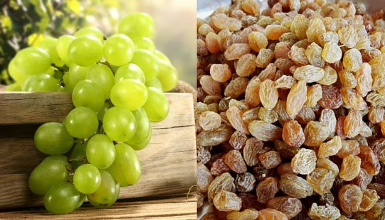 <p>ద్రాక్ష పండ్లను ఇష్టపడని వారు చాలా అరుదుగా ఉంటారు. చిన్న పిల్లల దగ్గర నుంచి పెద్దవారి వరకు వీటిని ఇష్టంగా తినేస్తారు. అయితే, పచ్చి ద్రాక్షలో కంటే ఎండు ద్రాక్షలోనే పోషకాలు పుష్కలంగా ఉంటాయని న్యూట్రిషనిస్టులు చెపుతున్నారు. </p> <p>ద్రాక్ష పండ్లను ఇష్టపడని వారు చాలా అరుదుగా ఉంటారు. చిన్న పిల్లల దగ్గర నుంచి పెద్దవారి వరకు వీటిని ఇష్టంగా తినేస్తారు. అయితే, పచ్చి ద్రాక్షలో కంటే ఎండు ద్రాక్షలోనే పోషకాలు పుష్కలంగా ఉంటాయని న్యూట్రిషనిస్టులు చెపుతున్నారు. </p>