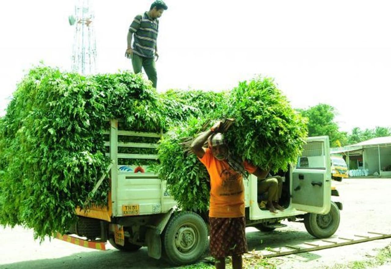 <p>கடந்த ஒருவாரமாகவே தொடர்ந்து அதிகரித்து வரும் பெட்ரோல், டீசல் விலையால் வாகன ஓட்டிகள் கடும் கலத்தில் உள்ளனர். இந்நிலையில், இன்று பெட்ரோல் விலை லிட்டருக்கு 30 காசுகள் அதிகரித்து 91.98 ரூபாய் எனவும், டீசல் விலை லிட்டருக்கு 30 காசுகள் அதிகரித்து 85.31 ரூபாய் எனவும் விலை நிர்ணயம் செய்யப்பட்டுள்ளது. பெட்ரோல், டீசல் விலை உயர்வைத் தொடர்ந்து காய்கறி உள்ளிட்ட அத்தியாவசியப் பொருட்களின் விலையும் கடுமையாக உயர ஆரம்பித்துள்ளது. <br /> </p> <p>கடந்த ஒருவாரமாகவே தொடர்ந்து அதிகரித்து வரும் பெட்ரோல், டீசல் விலையால் வாகன ஓட்டிகள் கடும் கலத்தில் உள்ளனர். இந்நிலையில், இன்று பெட்ரோல் விலை லிட்டருக்கு 30 காசுகள் அதிகரித்து 91.98 ரூபாய் எனவும், டீசல் விலை லிட்டருக்கு 30 காசுகள் அதிகரித்து 85.31 ரூபாய் எனவும் விலை நிர்ணயம் செய்யப்பட்டுள்ளது. பெட்ரோல், டீசல் விலை உயர்வைத் தொடர்ந்து காய்கறி உள்ளிட்ட அத்தியாவசியப் பொருட்களின் விலையும் கடுமையாக உயர ஆரம்பித்துள்ளது. <br /> </p>