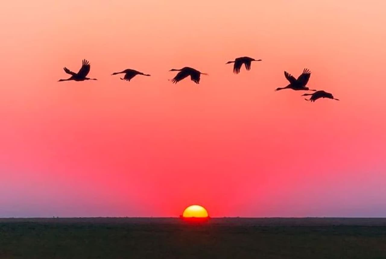 <p>మీరు ఫోటోలు తీసే ముందు మీ ఆబ్జెక్ట్ లేదా దీనినైతే మీరు ఫోటో తీయాలనుకుంటున్నారో దానిని సరైన స్థలంలో లేదా స్క్రీన్ మధ్యలో ఉంచడానికి ప్రయత్నించండి. మీ స్క్రీన్లో గ్రిడ్ లైన్స్ ఊహించుకోండి. ఇది స్క్రీన్ పై 9 చతురస్రాలను సృష్టిస్తుంది. కొన్ని స్మార్ట్ఫోన్ కెమెరాలలో ఇప్పటికీ గ్రిడ్ ఆప్షన్ ఉంటుంది, తద్వారా మీరు మీ ఫోటోకు బ్యాలెన్స్ , కొత్తదనాన్ని ఇవ్వగలరు.</p> <p>మీరు ఫోటోలు తీసే ముందు మీ ఆబ్జెక్ట్ లేదా దీనినైతే మీరు ఫోటో తీయాలనుకుంటున్నారో దానిని సరైన స్థలంలో లేదా స్క్రీన్ మధ్యలో ఉంచడానికి ప్రయత్నించండి. మీ స్క్రీన్లో గ్రిడ్ లైన్స్ ఊహించుకోండి. ఇది స్క్రీన్ పై 9 చతురస్రాలను సృష్టిస్తుంది. కొన్ని స్మార్ట్ఫోన్ కెమెరాలలో ఇప్పటికీ గ్రిడ్ ఆప్షన్ ఉంటుంది, తద్వారా మీరు మీ ఫోటోకు బ్యాలెన్స్ , కొత్తదనాన్ని ఇవ్వగలరు.</p>