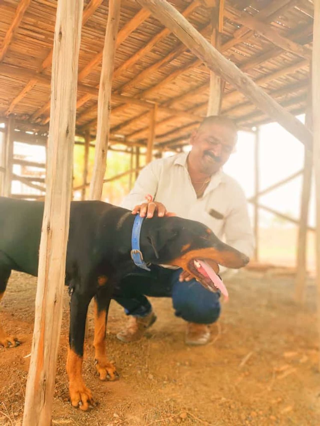 <p> ಮಾಲೀಕನ ಜೀವ ಉಳಿಸುವ ಸಲುವಾಗಿ ಹಾವಿನ ಜೊತೆ ಹೋರಾಡಿ ಶ್ವಾನ ಒಂದು ತನ್ನ ಪ್ರಾಣವನ್ನೇ ತೆತ್ತಿದೆ. </p> <p> ಮಾಲೀಕನ ಜೀವ ಉಳಿಸುವ ಸಲುವಾಗಿ ಹಾವಿನ ಜೊತೆ ಹೋರಾಡಿ ಶ್ವಾನ ಒಂದು ತನ್ನ ಪ್ರಾಣವನ್ನೇ ತೆತ್ತಿದೆ. </p>