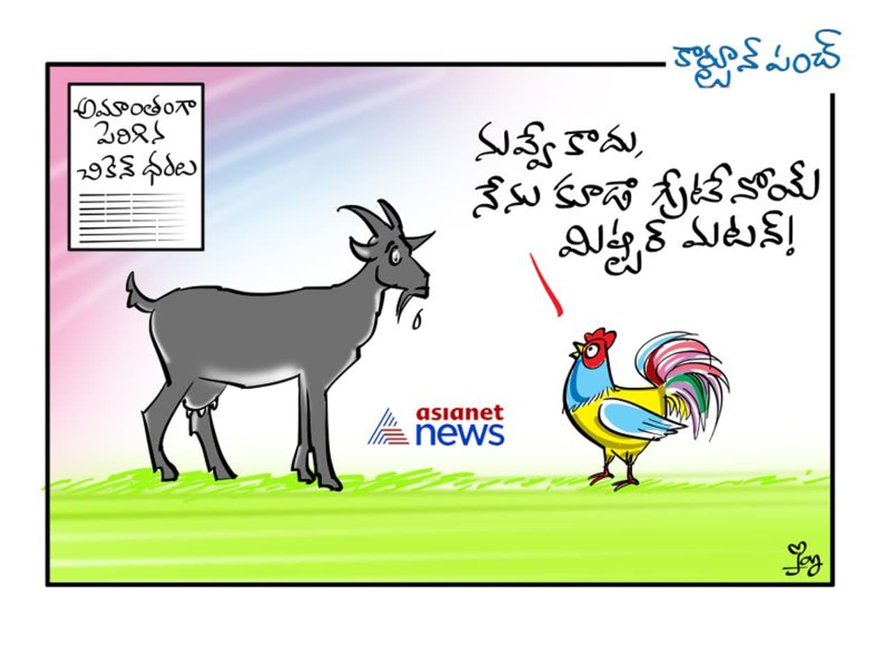 <p>cartoon</p> <p>cartoon</p>