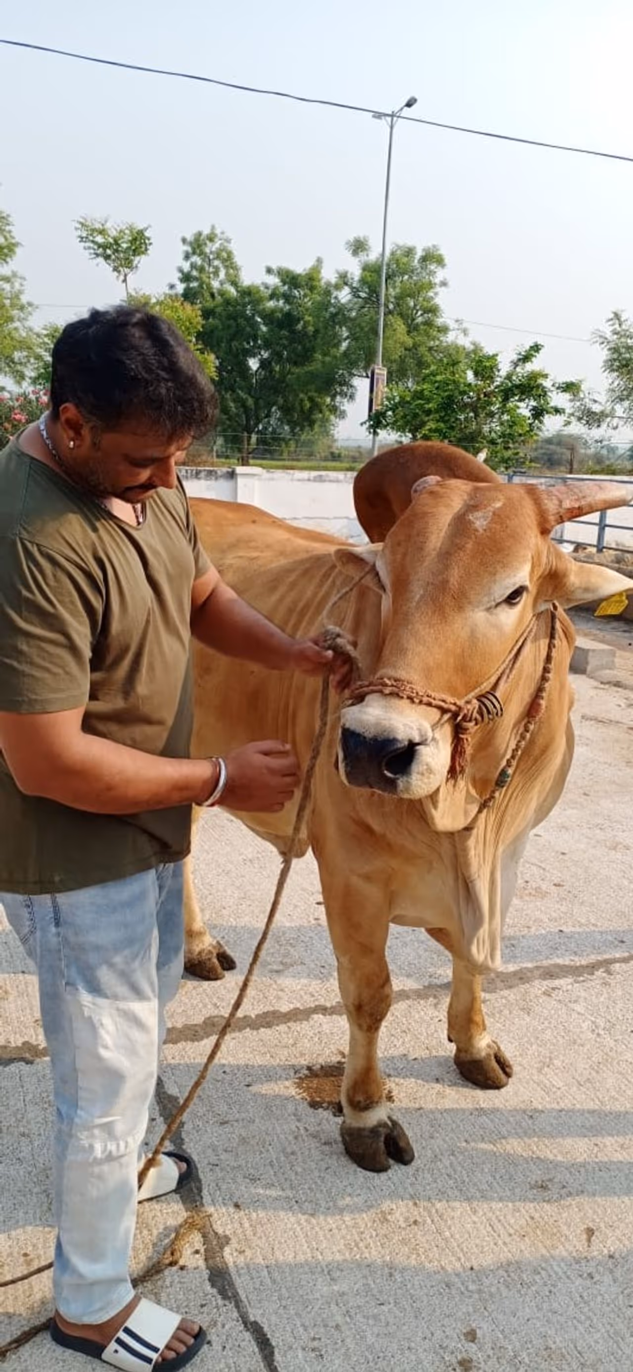<p>ರಾಬರ್ಟ್‌ ಯಶಸ್ಸಿನಲ್ಲಿರುವ ಡಿ ಬಾಸ್, ಮಂತ್ರಾಲಯ ರಾಯರ ಆಶೀರ್ವಾದ ಪಡೆದಿದ್ದಾರೆ.</p>