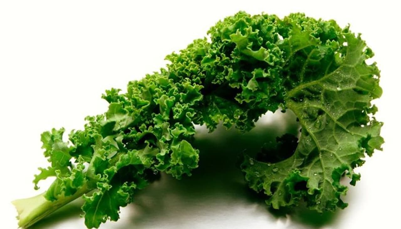 <p>ವ್ಯಾಯಾಮ, ಆರೋಗ್ಯಕರ ಜೀವನಶೈಲಿ ಮತ್ತು ಸೂಕ್ತ ಆಹಾರಕ್ರಮ ಮಧುಮೇಹ ನಿರ್ವಹಣೆಯ ಸರಿಯಾದ ವಿಧಾನ. ಕೇಲ್ನ ಹಸಿರು ಎಲೆ ಮಧುಮೇಹಕ್ಕೆ ಸೂಕ್ತ ಆಹಾರ. ಏಕೆಂದರೆ, ಕೇಲ್ ಸೇವಿಸುವುದರಿಂದ ಮಧುಮೇಹ ಸಂಬಂಧಿಸಿದ ಸಮಸ್ಯೆಗಳಿಂದ ಪರಿಹಾರ ಸಿಗುತ್ತದೆ. ಕೇಲ್ ಸಲಾಡ್, ಸ್ಮೂಥೀಸ್, ಚಿಪ್ಸ್ ಮತ್ತು ಜ್ಯೂಸ್ ರೂಪದಲ್ಲಿ ಸೇವಿಸಲಾಗುತ್ತದೆ. ಕೇಲ್ ಜ್ಯೂಸ್ ಸೇವಿಸುವುದರಿಂದ ಆರೋಗ್ಯಕರ ಪ್ರಯೋಜನಗಳನ್ನು ಇಲ್ಲಿ ಓದಿ. </p> <p>ವ್ಯಾಯಾಮ, ಆರೋಗ್ಯಕರ ಜೀವನಶೈಲಿ ಮತ್ತು ಸೂಕ್ತ ಆಹಾರಕ್ರಮ ಮಧುಮೇಹ ನಿರ್ವಹಣೆಯ ಸರಿಯಾದ ವಿಧಾನ. ಕೇಲ್ನ ಹಸಿರು ಎಲೆ ಮಧುಮೇಹಕ್ಕೆ ಸೂಕ್ತ ಆಹಾರ. ಏಕೆಂದರೆ, ಕೇಲ್ ಸೇವಿಸುವುದರಿಂದ ಮಧುಮೇಹ ಸಂಬಂಧಿಸಿದ ಸಮಸ್ಯೆಗಳಿಂದ ಪರಿಹಾರ ಸಿಗುತ್ತದೆ. ಕೇಲ್ ಸಲಾಡ್, ಸ್ಮೂಥೀಸ್, ಚಿಪ್ಸ್ ಮತ್ತು ಜ್ಯೂಸ್ ರೂಪದಲ್ಲಿ ಸೇವಿಸಲಾಗುತ್ತದೆ. ಕೇಲ್ ಜ್ಯೂಸ್ ಸೇವಿಸುವುದರಿಂದ ಆರೋಗ್ಯಕರ ಪ್ರಯೋಜನಗಳನ್ನು ಇಲ್ಲಿ ಓದಿ. </p>