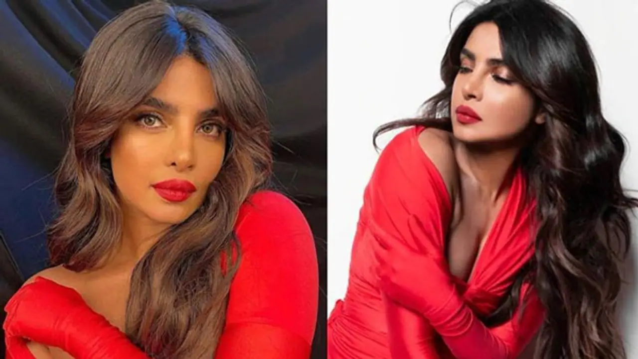 <p>Priyanka Chopra is a global icon; a few years ago, she married American pop singer Nick Jonas. Now she is staying with her husband in the USA along with her three pet dogs. </p> <p>Priyanka Chopra is a global icon; a few years ago, she married American pop singer Nick Jonas. Now she is staying with her husband in the USA along with her three pet dogs. </p>