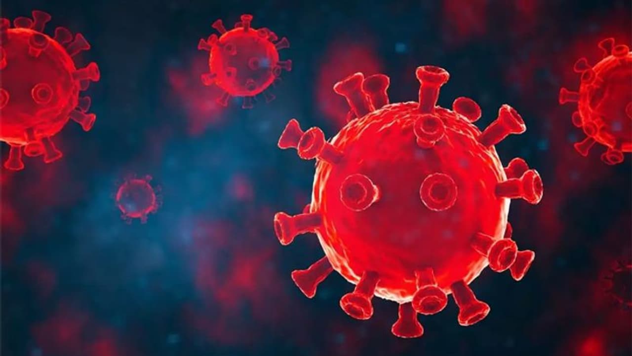 <p>ಕರೋನಾ ಉಸಿರಾಟದ ವ್ಯವಸ್ಥೆಗೆ ಸಂಬಂಧಿಸಿದ ಕಾಯಿಲೆಯಾಗಿರುವುದರಿಂದ, ಶ್ವಾಸಕೋಶವನ್ನು ಆರೋಗ್ಯವಾಗಿಡುವುದು ಬಹಳ ಮುಖ್ಯ. ವಾತಾವರಣದಲ್ಲಿ ಇರುವ ಮಾಲಿನ್ಯ ಮತ್ತು ರಾಸಾಯನಿಕಗಳು ಶ್ವಾಸಕೋಶದಲ್ಲಿ ಸಂಗ್ರಹವಾದಾಗ, ಉಬ್ಬಸ, ಉಸಿರುಗಟ್ಟುವಿಕೆ ಮತ್ತು ಭಾರದಂತಹ ಲಕ್ಷಣಗಳು ಎದೆಯಲ್ಲಿ ಕಂಡುಬರುತ್ತವೆ. </p> <p>ಕರೋನಾ ಉಸಿರಾಟದ ವ್ಯವಸ್ಥೆಗೆ ಸಂಬಂಧಿಸಿದ ಕಾಯಿಲೆಯಾಗಿರುವುದರಿಂದ, ಶ್ವಾಸಕೋಶವನ್ನು ಆರೋಗ್ಯವಾಗಿಡುವುದು ಬಹಳ ಮುಖ್ಯ. ವಾತಾವರಣದಲ್ಲಿ ಇರುವ ಮಾಲಿನ್ಯ ಮತ್ತು ರಾಸಾಯನಿಕಗಳು ಶ್ವಾಸಕೋಶದಲ್ಲಿ ಸಂಗ್ರಹವಾದಾಗ, ಉಬ್ಬಸ, ಉಸಿರುಗಟ್ಟುವಿಕೆ ಮತ್ತು ಭಾರದಂತಹ ಲಕ್ಷಣಗಳು ಎದೆಯಲ್ಲಿ ಕಂಡುಬರುತ್ತವೆ. </p>