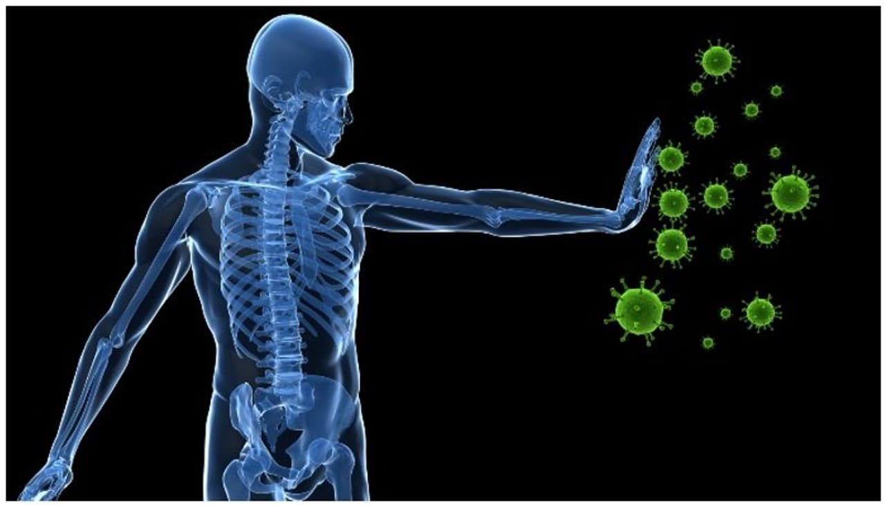 <p>ರೋಗನಿರೋಧಕ ಶಕ್ತಿಯನ್ನು ಹೆಚ್ಚಿಸುವ ಜೊತೆಗೆ ಆರೋಗ್ಯವನ್ನು ಸುಧಾರಿಸುವ ವಿಧಾನಗಳ ಬಗ್ಗೆ ಮತ್ತು ಆಹಾರ ಪದ್ಧತಿ ಬಗ್ಗೆ ಇಲ್ಲಿದೆ ಸಂಪೂರ್ಣ ಮಾಹಿತಿ. ಇದನ್ನು ಅನುಸರಿಸಿ ರೋಗ ನಿರೋಧಕ ಶಕ್ತಿಯನ್ನು ಹೆಚ್ಚಿಸಿ. </p> <p>ರೋಗನಿರೋಧಕ ಶಕ್ತಿಯನ್ನು ಹೆಚ್ಚಿಸುವ ಜೊತೆಗೆ ಆರೋಗ್ಯವನ್ನು ಸುಧಾರಿಸುವ ವಿಧಾನಗಳ ಬಗ್ಗೆ ಮತ್ತು ಆಹಾರ ಪದ್ಧತಿ ಬಗ್ಗೆ ಇಲ್ಲಿದೆ ಸಂಪೂರ್ಣ ಮಾಹಿತಿ. ಇದನ್ನು ಅನುಸರಿಸಿ ರೋಗ ನಿರೋಧಕ ಶಕ್ತಿಯನ್ನು ಹೆಚ್ಚಿಸಿ. </p>