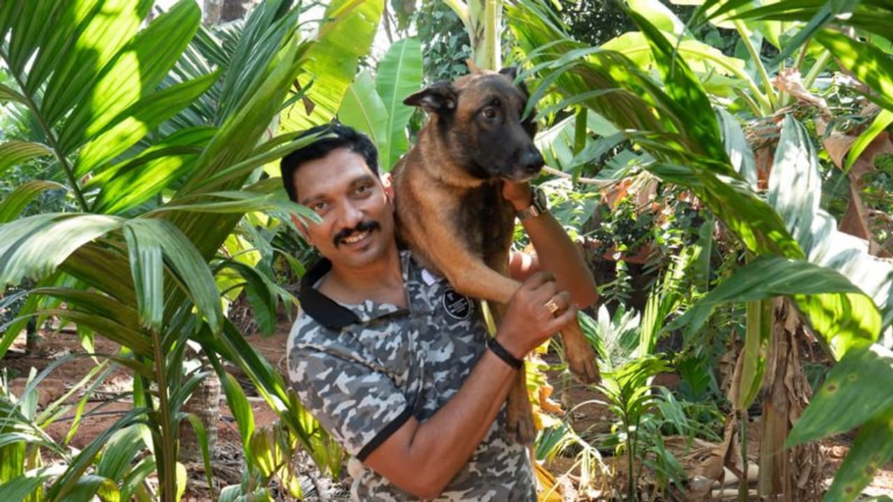 <p>ರಾಘವೇಂದ್ರ ಭಟ್ ಸಾಕಿದ್ದು ಬೆಲ್ಜಿಯನ್ ಮೆಲಿನೋಯ್ಸ್ ತಳಿಯ ಮೂರು ನಾಯಿಗಳನ್ನು. ಈ ನಾಯಿಗಳ ಮರಿಗಾಗಿ ಭಾರಿ ಬೇಡಿಕೆ ಇದೆ. </p> <p>ರಾಘವೇಂದ್ರ ಭಟ್ ಸಾಕಿದ್ದು ಬೆಲ್ಜಿಯನ್ ಮೆಲಿನೋಯ್ಸ್ ತಳಿಯ ಮೂರು ನಾಯಿಗಳನ್ನು. ಈ ನಾಯಿಗಳ ಮರಿಗಾಗಿ ಭಾರಿ ಬೇಡಿಕೆ ಇದೆ. </p>