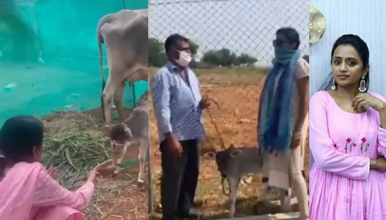 సుమ చెప్పిన సమాధానం ఇప్పుడు సోషల్ మీడియా ట్రెండ్ అవుతుంది. సుమనా మజాకా అంటూ ఆమె ఫ్యాన్స్ కామెంట్ల వర్షం కురిపిస్తున్నారు. ట్రోలర్స్ సుమ దెబ్బకి తోక ముడిచేశారు. కామెంట్లు ఎక్కడ పెట్టాలో తెలియక సైలెంట్గా జారుకున్నారు. ఇంతకి ఏం జరిగిందనేది చూస్తే.. సుమ చెప్పిన సమాధానం ఇప్పుడు సోషల్ మీడియా ట్రెండ్ అవుతుంది. సుమనా మజాకా అంటూ ఆమె ఫ్యాన్స్ కామెంట్ల వర్షం కురిపిస్తున్నారు. ట్రోలర్స్ సుమ దెబ్బకి తోక ముడిచేశారు. కామెంట్లు ఎక్కడ పెట్టాలో తెలియక సైలెంట్గా జారుకున్నారు. ఇంతకి ఏం జరిగిందనేది చూస్తే..