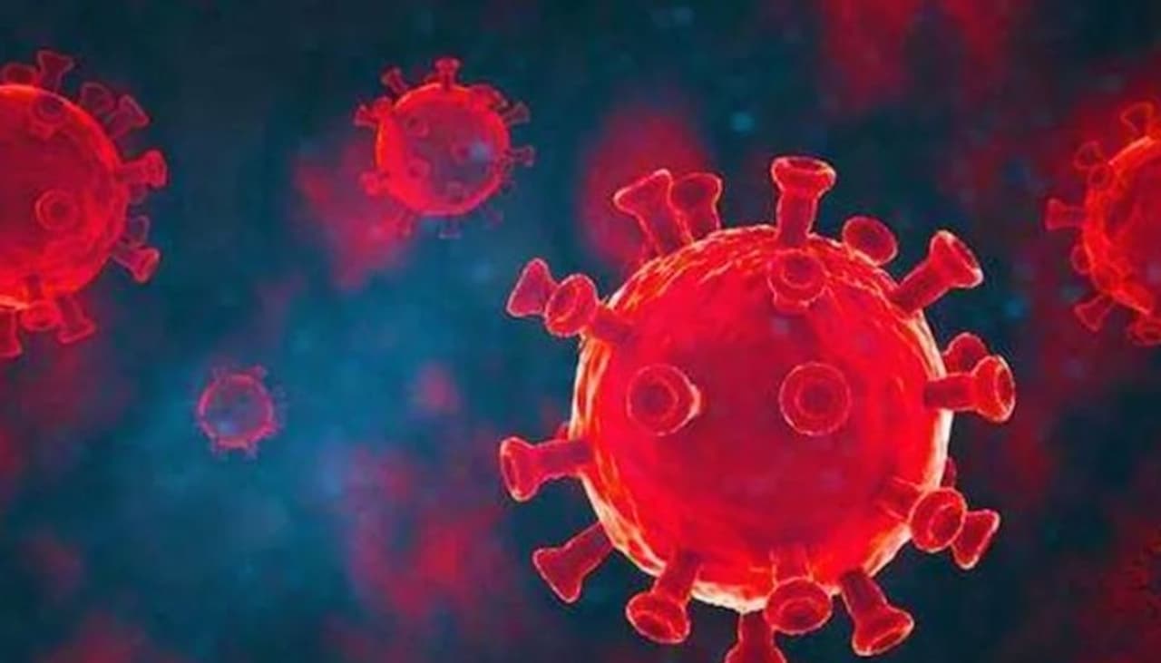 <p>India registered a record rise in Covid 19 fatalities at 4,187 in the last 24 hours, taking the overall death toll in the country to 2,38,270.</p> <p>India registered a record rise in Covid 19 fatalities at 4,187 in the last 24 hours, taking the overall death toll in the country to 2,38,270.</p>