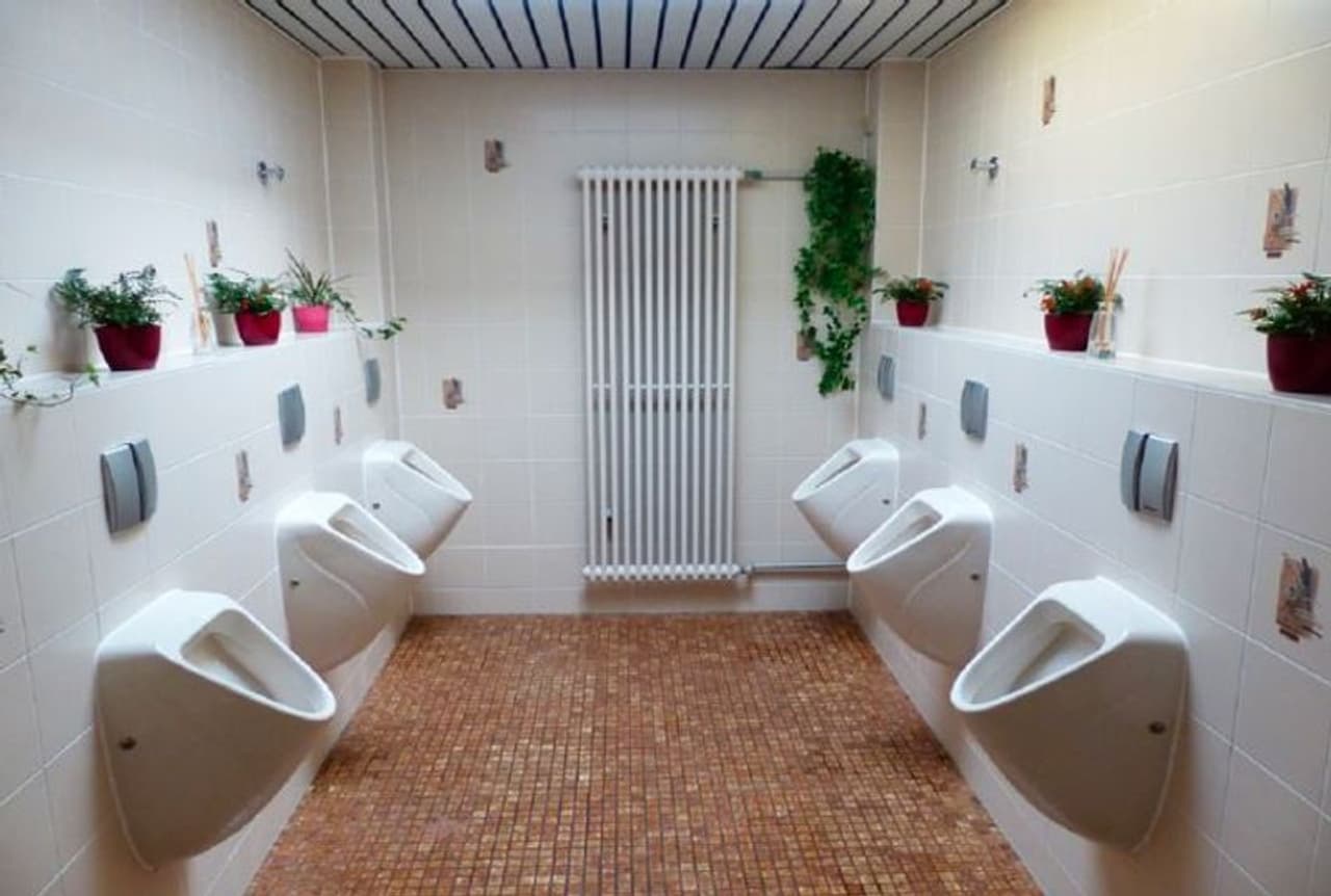 <p>ఒక నివేదిక ద్వారా ఈ సంస్థ ఉద్యోగులను వాష్ రూమ్ కి వెళ్ళడానికి అనుమతిస్తుంది. కానీ ఉద్యోగులు ఒకటి కంటే ఎక్కువసార్లు టాయిలెట్కు వెళితే జరిమానా చెల్లించాల్సి ఉంటుంది.</p> <p>ఒక నివేదిక ద్వారా ఈ సంస్థ ఉద్యోగులను వాష్ రూమ్ కి వెళ్ళడానికి అనుమతిస్తుంది. కానీ ఉద్యోగులు ఒకటి కంటే ఎక్కువసార్లు టాయిలెట్కు వెళితే జరిమానా చెల్లించాల్సి ఉంటుంది.</p>