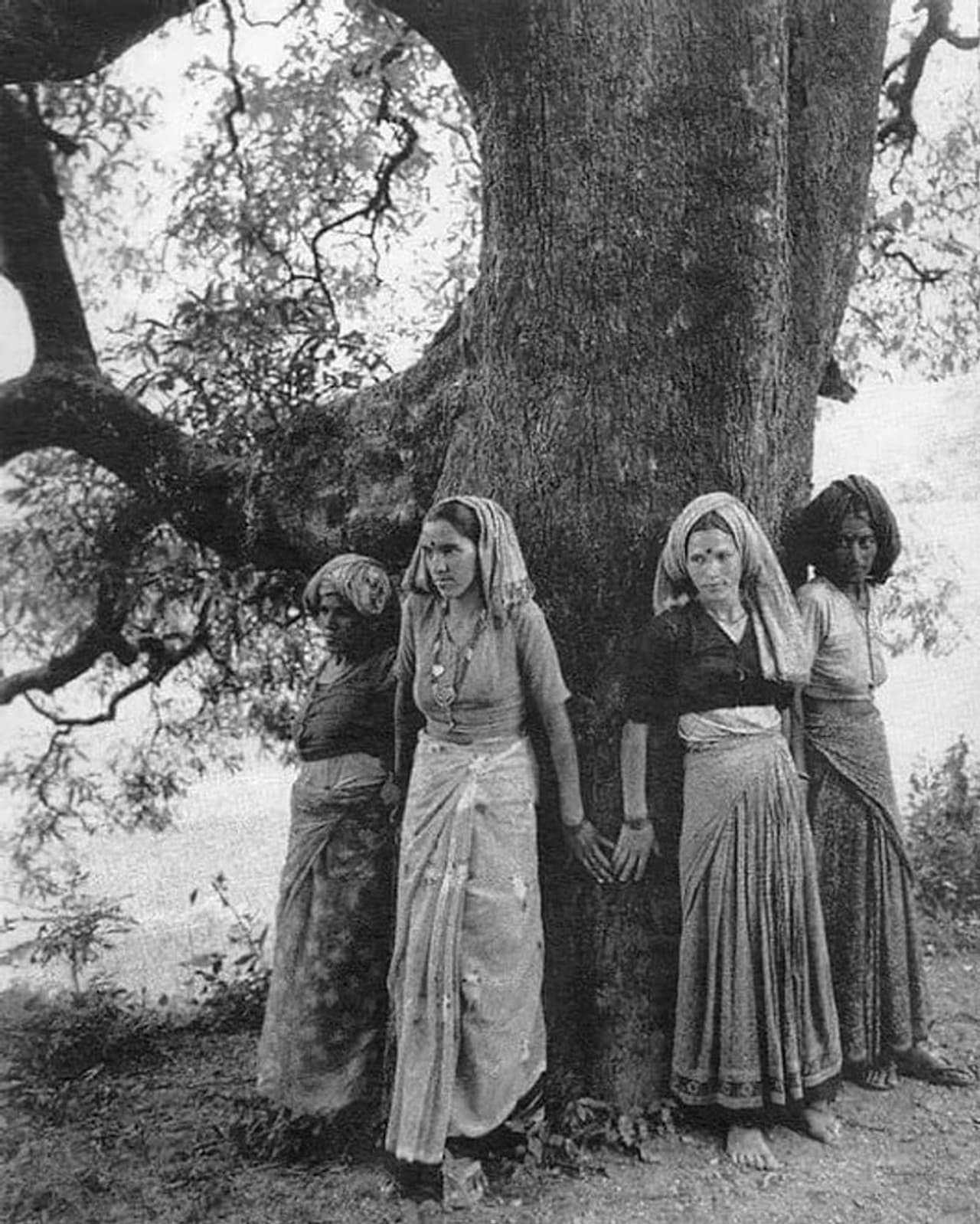 <p>ഗ്രാമീണരും മരം മുറിക്കാനെത്തുന്ന് തൊഴിലാളികളും തമ്മില്‍ നിരന്തരം സംഘര്‍ഷത്തില്‍ നിന്നായിരുന്നു സംഭവങ്ങളുടെ തുടക്കം. സ്വന്തം ഗ്രാമത്തോട് ചേര്‍ന്ന് നില്‍ക്കുന്ന വനപ്രദേശത്ത് നിന്ന് ഗ്രാമീണര്‍ക്ക് കാർഷികോപകരണ ശില്പശാലയ്‌ക്കായി പത്ത് ആഷ് മരങ്ങൾ വേണമെന്ന ആവശ്യം നിരസിച്ച ഉത്തര്‍പ്രദേശ് വനം വകുപ്പ് , അലഹബാദിലെ കായിക ഉൽപ്പന്ന നിർമാതാക്കളായ സൈമൺ കമ്പനിക്ക് ടെന്നീസ് റാക്കറ്റുകൾ നിർമ്മിക്കാൻ 300 മരങ്ങൾക്കായുള്ള കരാർ നൽകി. 1973 ഏപ്രിൽ 24 ന് ഈ മരങ്ങള്‍ മുറിക്കാനായി കമ്പനിയുടെ തൊഴിലാളികള്‍ എത്തുന്നിടത്ത് നിന്നാണ് ഉത്തരാഖണ്ഡിലെ ചിപ്കോ പ്രസ്ഥാനം ശക്തമായ സമരമുഖത്തേക്ക് കടക്കുന്നത്.&nbsp;</p>