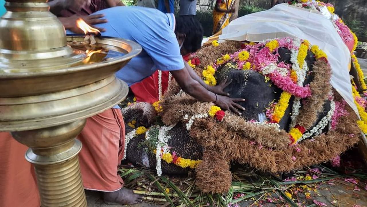 <p>മരിക്കുമ്പോള് മതിലകം ദര്ശിനിക്ക് 58 വയസ്സുണ്ടായിരുന്നു. ഏറെ നാളായി ഗര്ഭാശയ അസുഖത്തെ തുടര്ന്ന് ചികിത്സയിലായിരുന്നു ദര്ശിനി. </p> <p>മരിക്കുമ്പോള് മതിലകം ദര്ശിനിക്ക് 58 വയസ്സുണ്ടായിരുന്നു. ഏറെ നാളായി ഗര്ഭാശയ അസുഖത്തെ തുടര്ന്ന് ചികിത്സയിലായിരുന്നു ദര്ശിനി. </p>