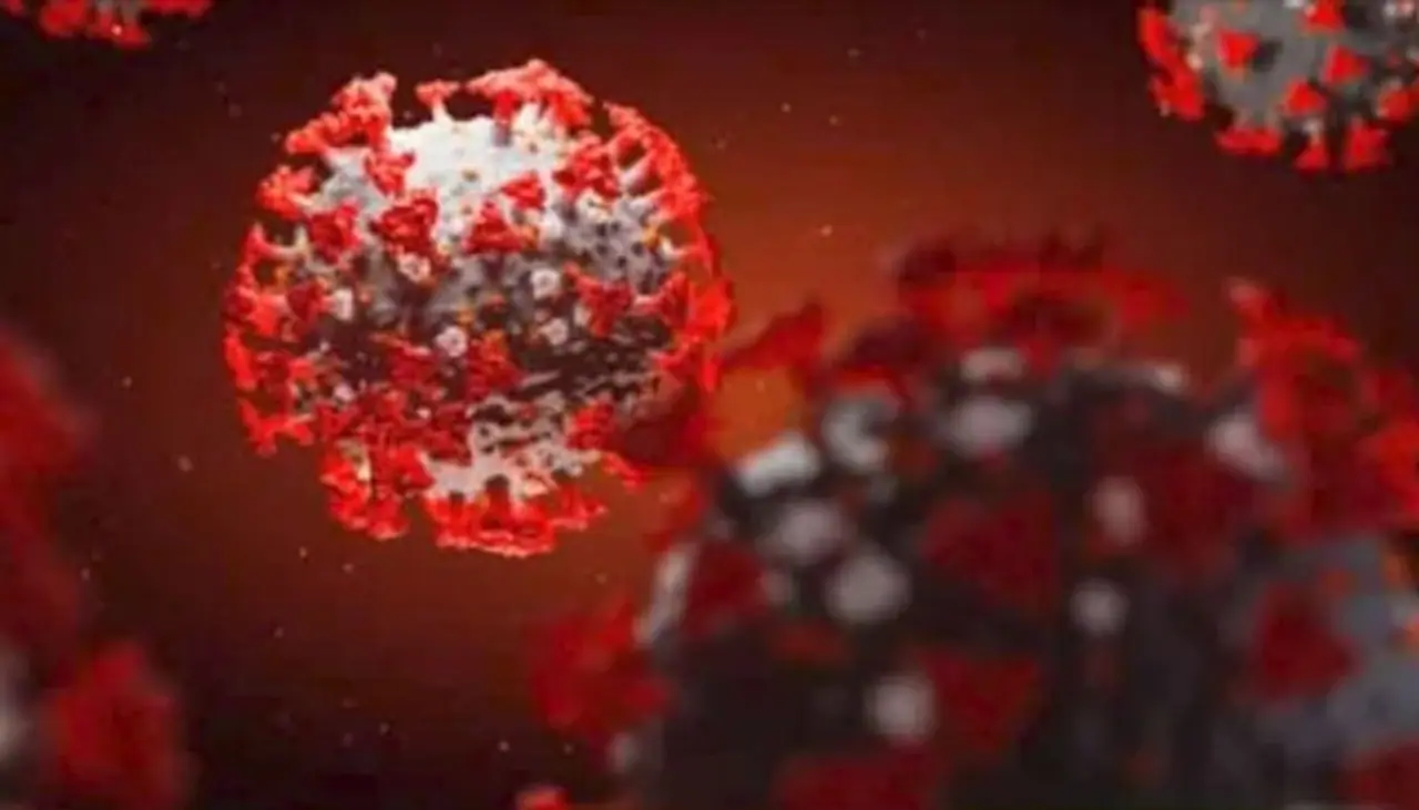 <p>Covid cases continue to move downwards as India reported 1,14,460 fresh COVID 19 cases. This is the lowest single day spike in infections in two months, taking the infection tally to 2,88,09,339.</p><p>As per the Union health ministry data, the death toll from COVID 19 rose to 3,46,759 with 2,677 new fatalities, while the number of active cases was recorded below 20 lakh for the sixth consecutive day.<br />&nbsp;</p>