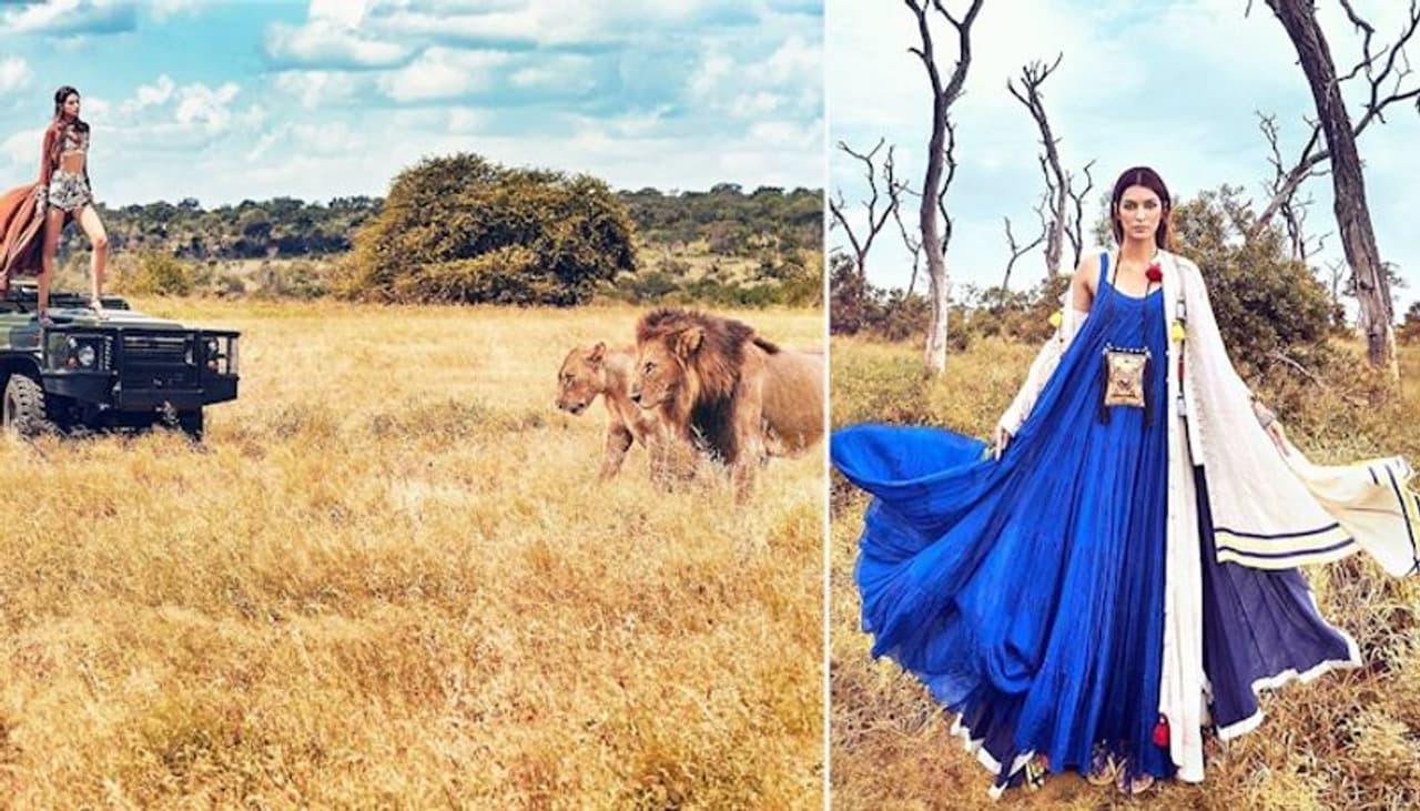 <p style="text align: justify;">Many Bollywood celebrities took to their Instagram account to share lush green pictures and spread awareness about protecting the environment on account of World Environment Day. Kriti Sanon also shared breathtaking pictures with animals on her gram.</p> <p style="text align: justify;">Many Bollywood celebrities took to their Instagram account to share lush green pictures and spread awareness about protecting the environment on account of World Environment Day. Kriti Sanon also shared breathtaking pictures with animals on her gram.</p>