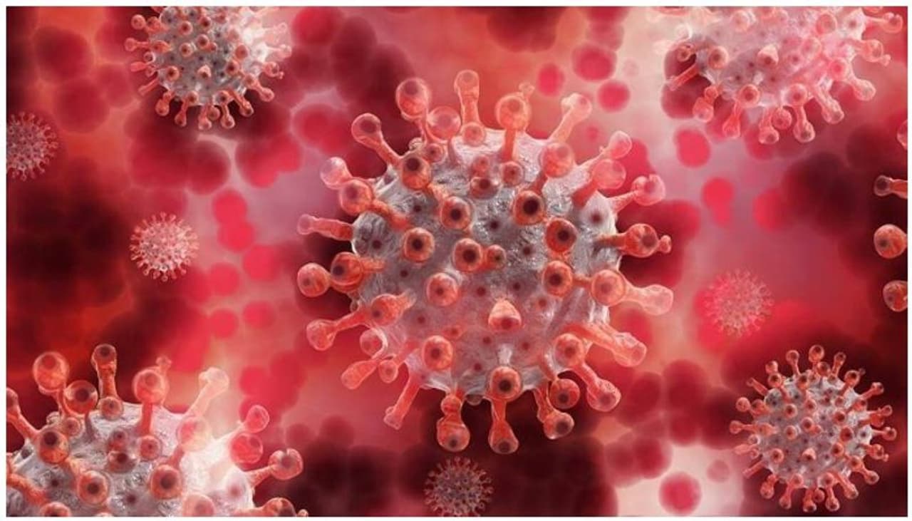 <p>India on Friday registered 62,480 cases and 1,587 deaths due to the coronavirus disease (Covid 19), taking the caseload and death toll to 29,762,793 and 383,490 respectively, according to the Union health ministry.</p> <p>India on Friday registered 62,480 cases and 1,587 deaths due to the coronavirus disease (Covid 19), taking the caseload and death toll to 29,762,793 and 383,490 respectively, according to the Union health ministry.</p>