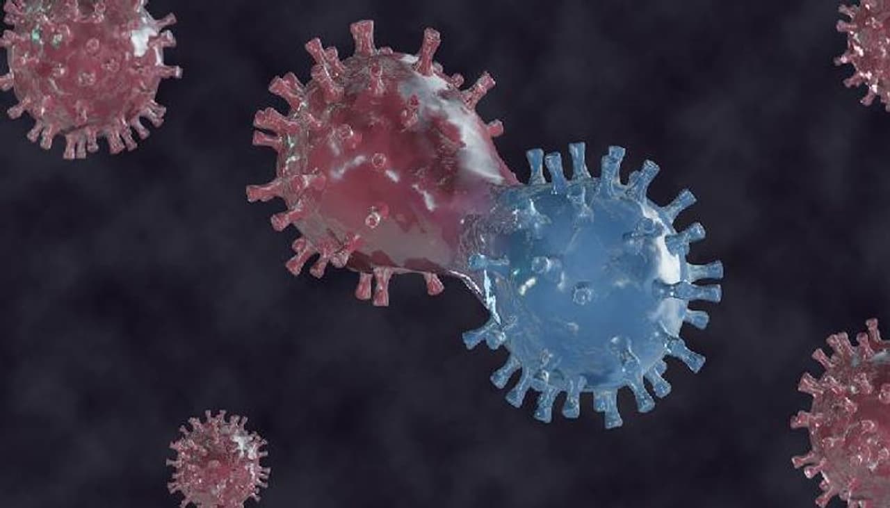 <p>జెనీవా : కోవిడ్ 19 డెల్టా వేరియంట్ తో రాబోయే "వినాశకరమైన వ్యాప్తి" గురించి డబ్ల్యూహెచ్ వో డైరెక్టర్ టెడ్రెస్ హెచ్చరించారు. ఈ కొత్త వేరియంట్ తీవ్రమైన వేగంతో వ్యాప్తి చెందుతోందని ప్రపంచ ఆరోగ్య సంస్థ (డబ్ల్యూహెచ్ఓ) డైరెక్టర్ జనరల్ టెడ్రోస్ అధనామ్ ఘెబ్రేయేసస్ సోమవారం హెచ్చరించారు.</p> <p>జెనీవా : కోవిడ్ 19 డెల్టా వేరియంట్ తో రాబోయే "వినాశకరమైన వ్యాప్తి" గురించి డబ్ల్యూహెచ్ వో డైరెక్టర్ టెడ్రెస్ హెచ్చరించారు. ఈ కొత్త వేరియంట్ తీవ్రమైన వేగంతో వ్యాప్తి చెందుతోందని ప్రపంచ ఆరోగ్య సంస్థ (డబ్ల్యూహెచ్ఓ) డైరెక్టర్ జనరల్ టెడ్రోస్ అధనామ్ ఘెబ్రేయేసస్ సోమవారం హెచ్చరించారు.</p>