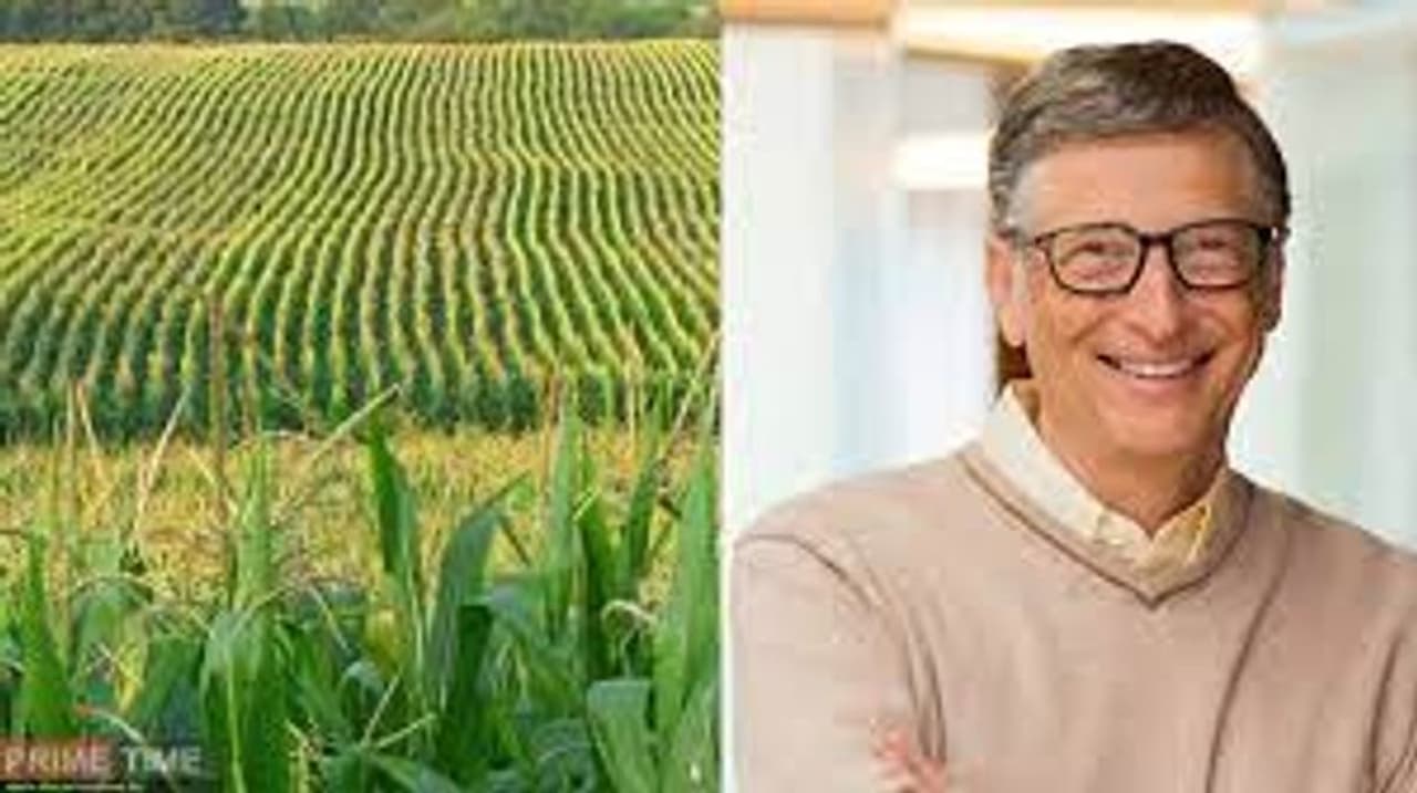 <p>బిల్ గేట్స్ అమెరికా అతిపెద్ద రైతులలో ఒకరు. బిల్ గేట్స్ అతని భార్య మెలిండా గేట్స్ 18 అమెరికన్ రాష్ట్రాలలో 2,69,000 ఎకరాలకు పైగా వ్యవసాయ భూములను సేకరించారు.<br /> </p> <p>బిల్ గేట్స్ అమెరికా అతిపెద్ద రైతులలో ఒకరు. బిల్ గేట్స్ అతని భార్య మెలిండా గేట్స్ 18 అమెరికన్ రాష్ట్రాలలో 2,69,000 ఎకరాలకు పైగా వ్యవసాయ భూములను సేకరించారు.<br /> </p>