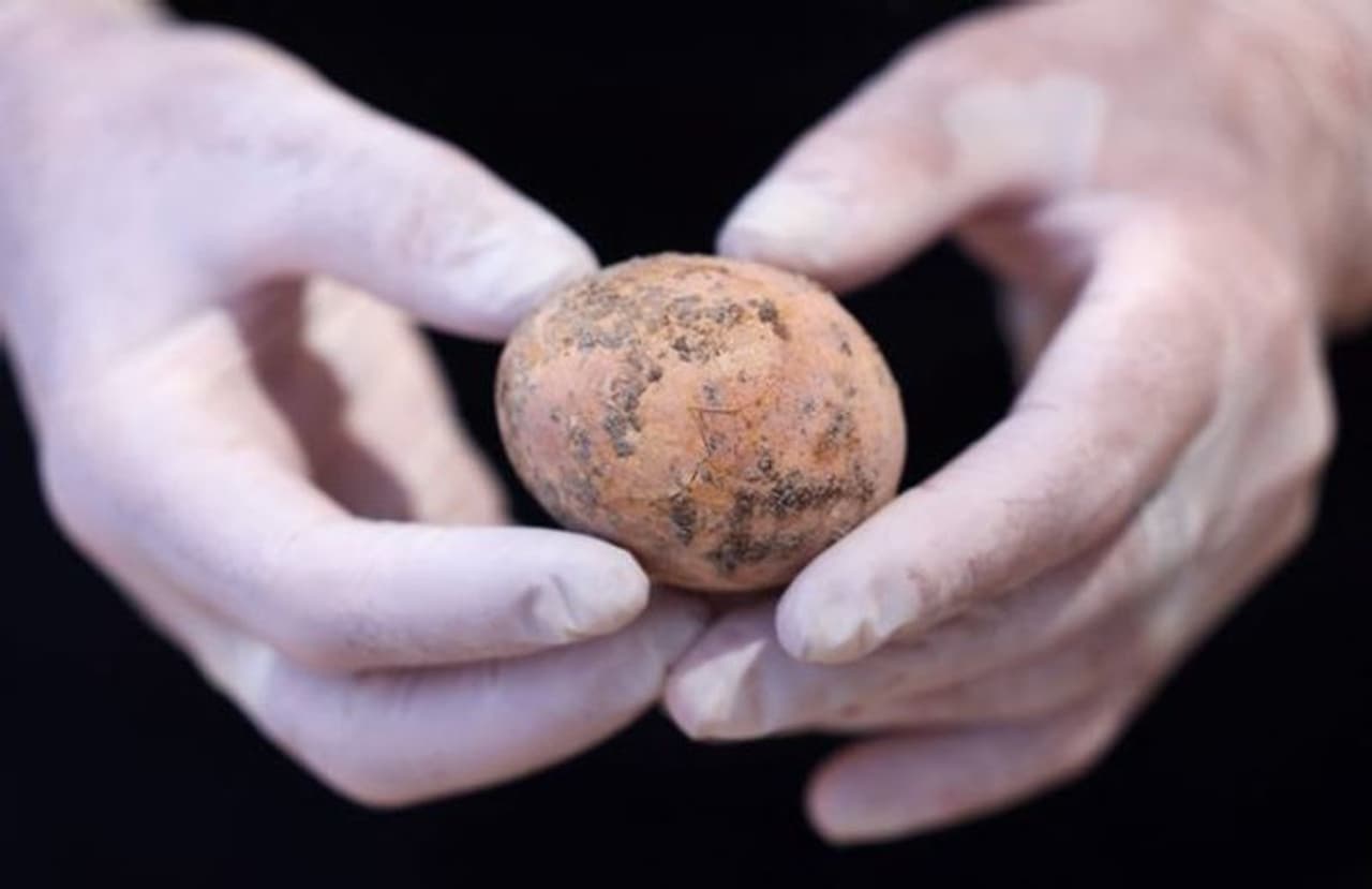 <p>కోడిగుడ్లు చాలా సున్నితుంగా ఉంటాయి. ఏమాత్రం అజాగ్రత్తగా ఉన్నా పగిలిపోతాయి. వారం రోజులు ఎక్కువ నిల్వ ఉంటే చెడిపోతాయి. అందుకే వాటిని ఎంతో జాగ్రత్తగా చూసుకుంటాం. ఎక్కువ రోజులు ఉండకుండా.. ఎప్పుటికప్పుడు ఫ్రెష్ గా కొనుక్కుని వాడుతుంటాం. అయితే ఓ కోడిగుడ్డు మాత్రం ఇప్పుడు అందరినీ ఆశ్చర్యంలో ముంచుతోంది. వెయ్యేల్లుగా పగలలేదు.. సరికదా.. పచ్చసొన కూడా చెడకుండా అలాగే ఉంది. </p> <p>కోడిగుడ్లు చాలా సున్నితుంగా ఉంటాయి. ఏమాత్రం అజాగ్రత్తగా ఉన్నా పగిలిపోతాయి. వారం రోజులు ఎక్కువ నిల్వ ఉంటే చెడిపోతాయి. అందుకే వాటిని ఎంతో జాగ్రత్తగా చూసుకుంటాం. ఎక్కువ రోజులు ఉండకుండా.. ఎప్పుటికప్పుడు ఫ్రెష్ గా కొనుక్కుని వాడుతుంటాం. అయితే ఓ కోడిగుడ్డు మాత్రం ఇప్పుడు అందరినీ ఆశ్చర్యంలో ముంచుతోంది. వెయ్యేల్లుగా పగలలేదు.. సరికదా.. పచ్చసొన కూడా చెడకుండా అలాగే ఉంది. </p>