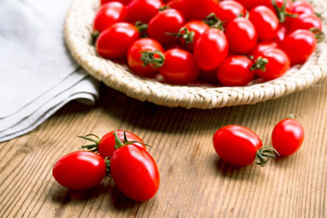 <p>Nature has blessed us with some amazing foods that not only taste good but also help us keep fit and healthy. Cherry tomatoes, for instance, offer a unique sour and tart taste and also provide many health benefits. They contain zero fats but are high in fibres, which contribute in shedding extra calories from the body.</p> <p>Nature has blessed us with some amazing foods that not only taste good but also help us keep fit and healthy. Cherry tomatoes, for instance, offer a unique sour and tart taste and also provide many health benefits. They contain zero fats but are high in fibres, which contribute in shedding extra calories from the body.</p>