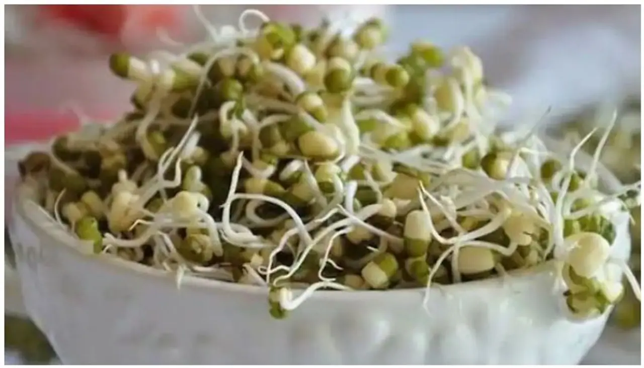 <p>Sprouts</p> <p>Sprouts</p>