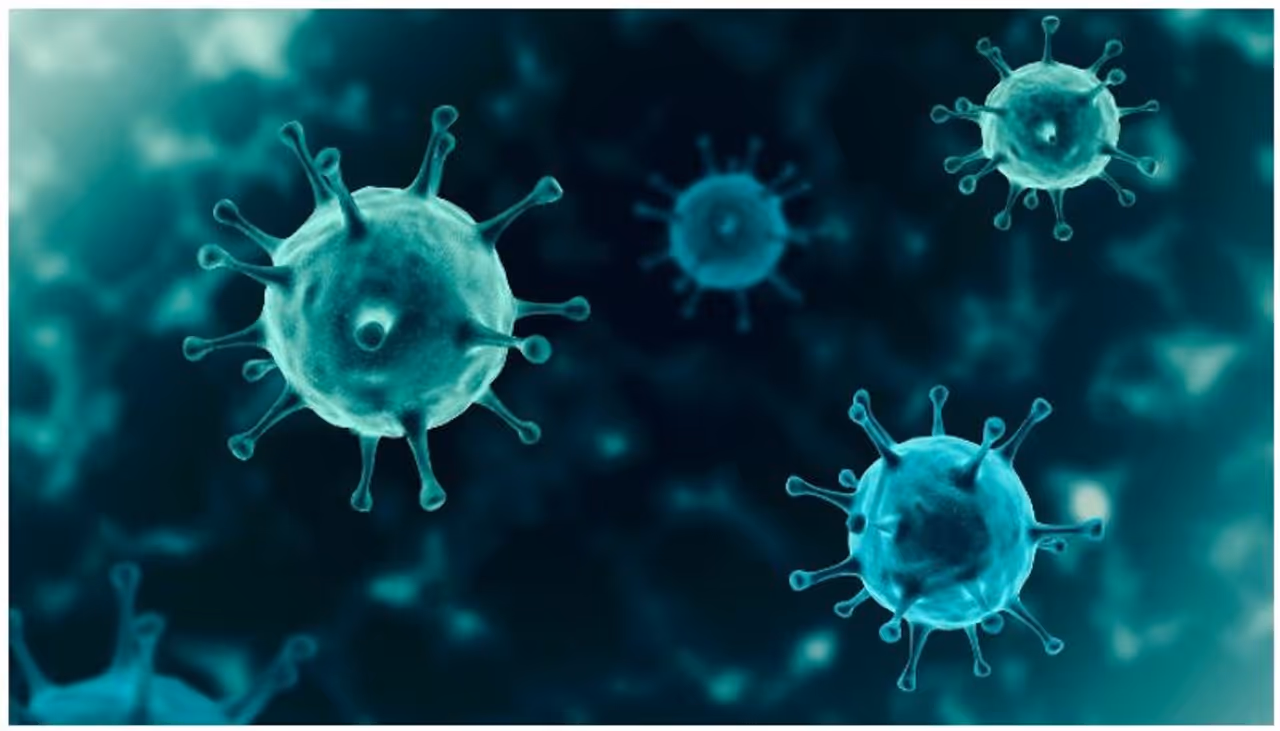 <p>covid</p> <p>covid</p>