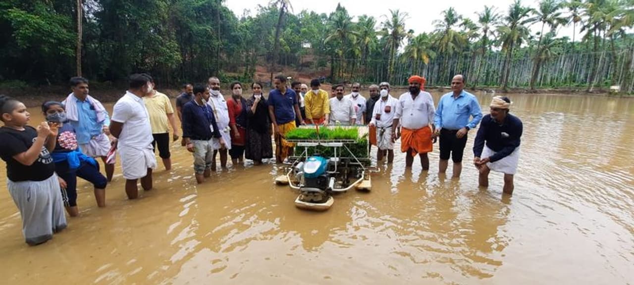 <p>ರಾಜಕೀಯ ಜಂಜಾಟ ಬಿಟ್ಟು ಗದ್ದೆಗಿಳಿದು ಕೃಷಿಕರಾದ ಬಿಜೆಪಿ ರಾಜ್ಯಾಧ್ಯಕ್ಷ ನಳಿನ್ ಕುಮಾರ್ ಕಟೀಲ್.&nbsp;ಧಾರ್ಮಿಕ ಪರಿಷತ್ ಸದಸ್ಯ ಮುರಳಿಕೃಷ್ಣ ಹಸಂತಡ್ಕ, ಪುತ್ತೂರು ಮಹಾಲಿಂಗೇಶ್ವರ ದೇವಸ್ಥಾನದ ವ್ಯವಸ್ಥಾಪನ ಸಮಿತಿ ಅದ್ಯಕ್ಷ ಮುಳಿಯ ಕೇಶವ ಪ್ರಸಾದ್ ಉಪಸ್ಥಿತಿ</p>
