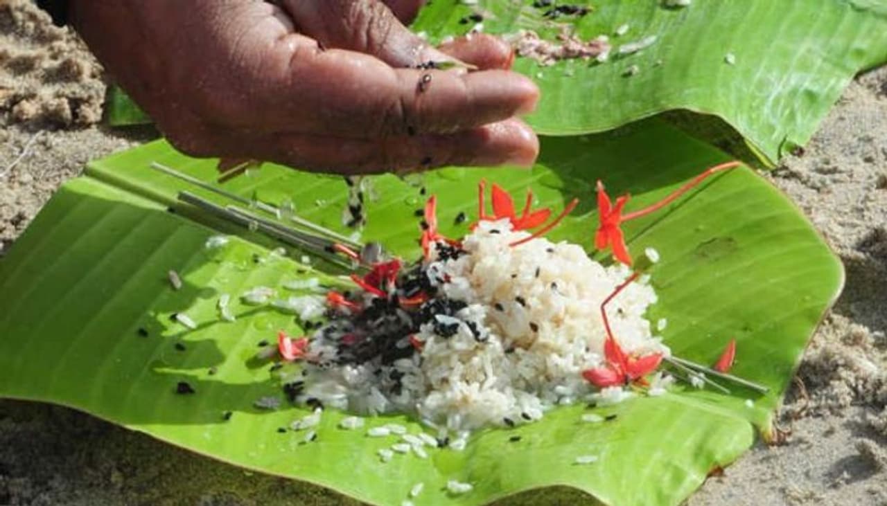 Vastu tips for home: