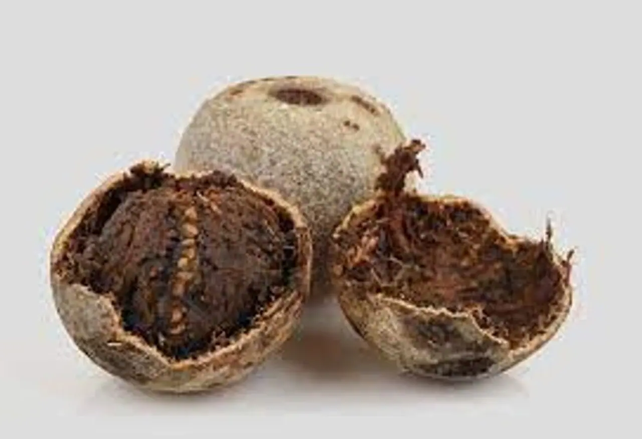 wood apple wood apple