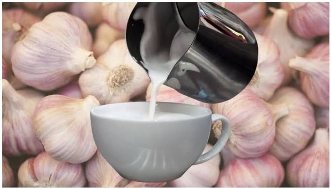 Benefits Of Garlic Milk For Kids In Tamil Benefits Of Garlic Milk For Kids In Tamil