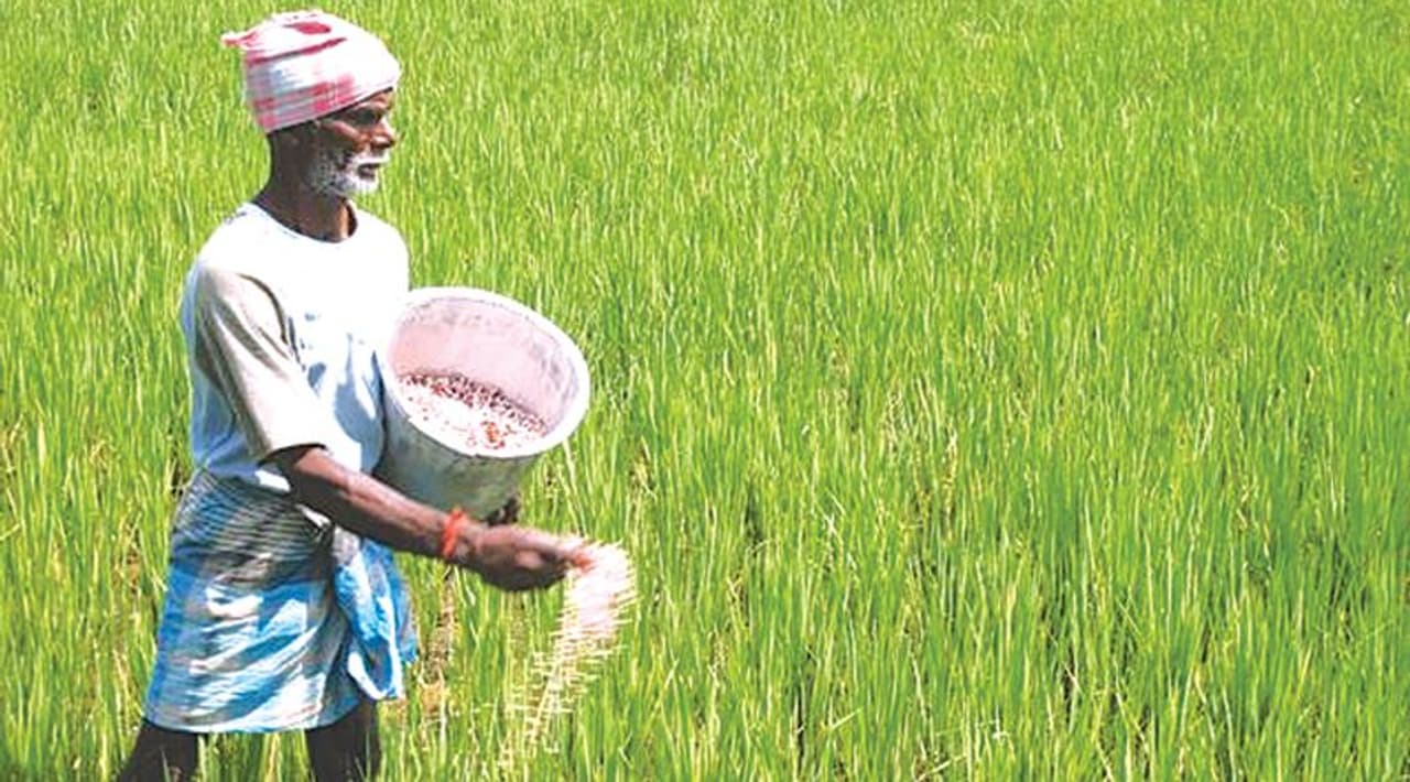 తెలంగాణలో ఎరువుల కొరత ఎందుకొచ్చింది?