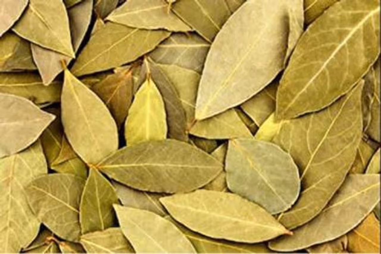 Health Benefits Bay Leaf: