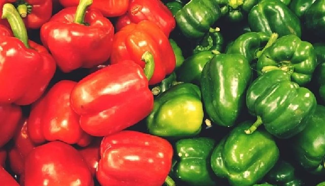 হজম ক্ষমতা