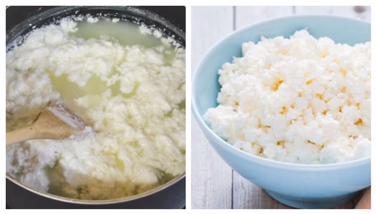 Spoiled Milk Sweets Spoiled Milk Sweets