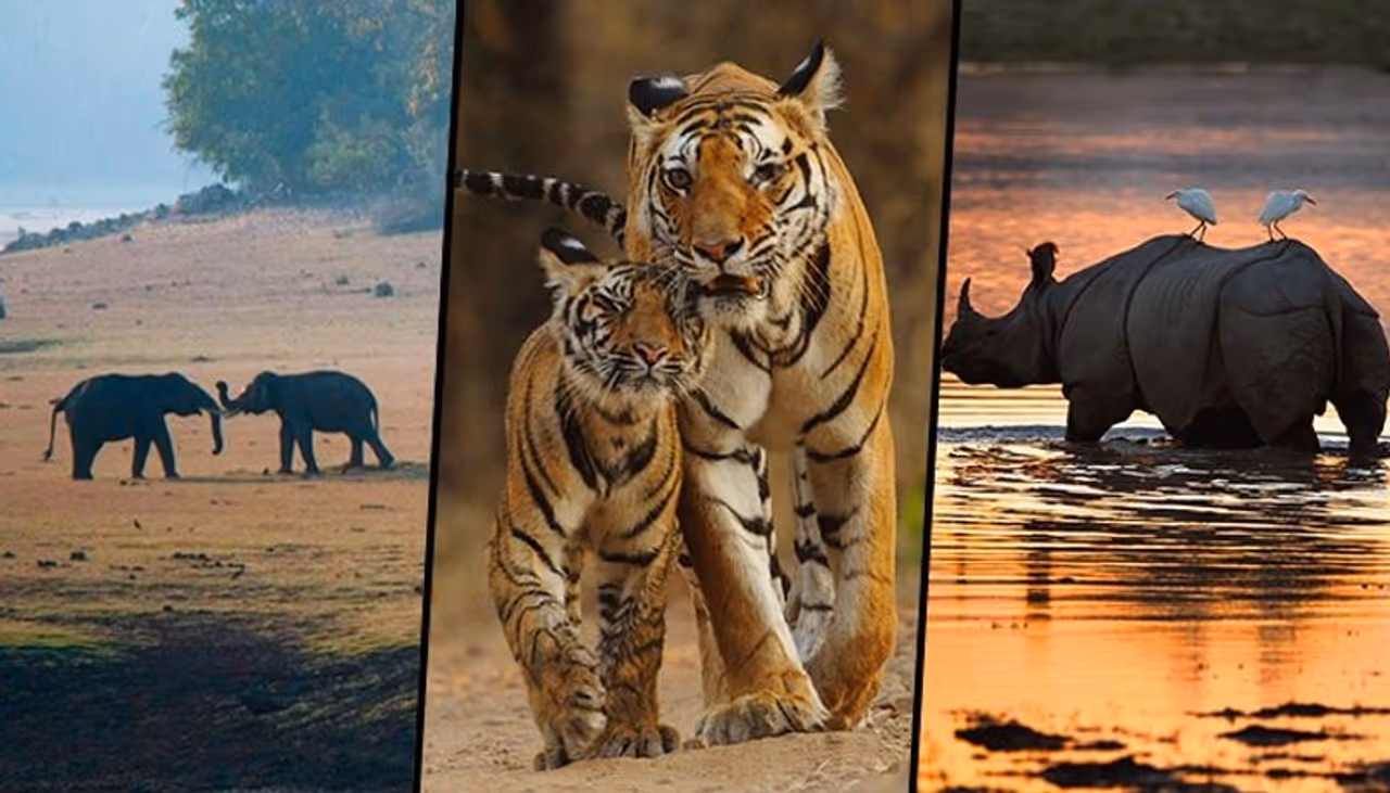 Image: Getty Images Image: Getty Images