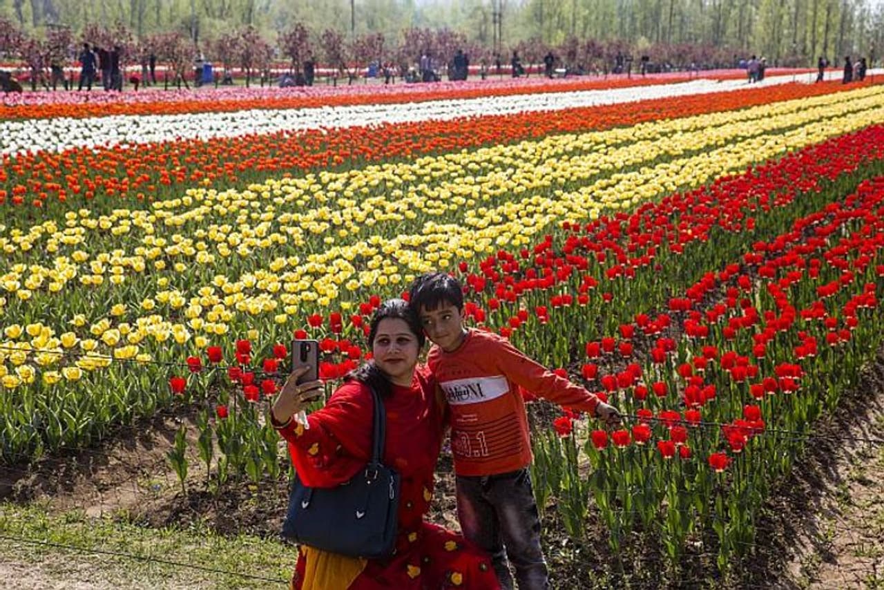 tulip garden srinagar