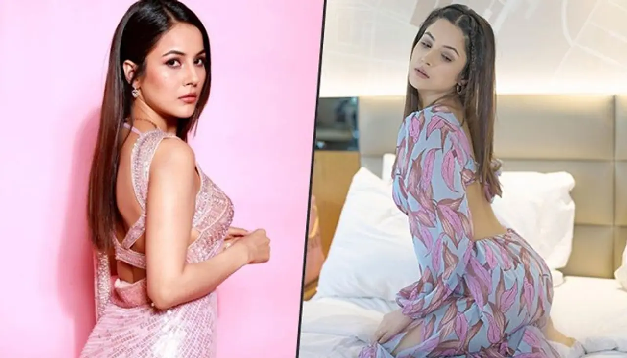 Image: Shehnaaz Gill/Instagram