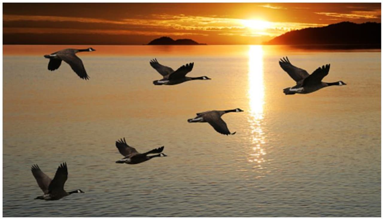 ಈಶಾನ್ಯ ದಿಕ್ಕಿನಲ್ಲಿ ವಾಸ್ತು ದೋಷ