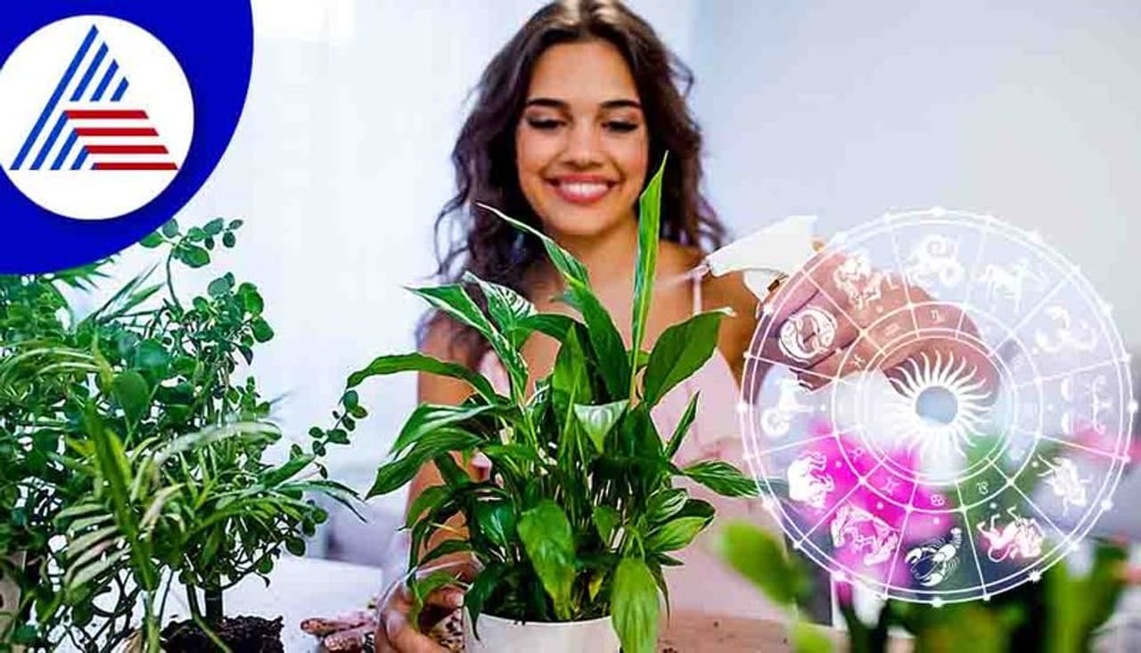 Astrology remedies 2022 Astrology remedies 2022