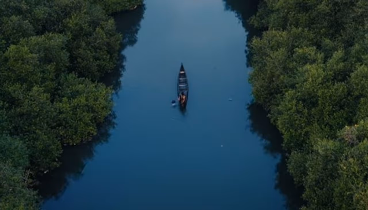 Image: Still from the trailer