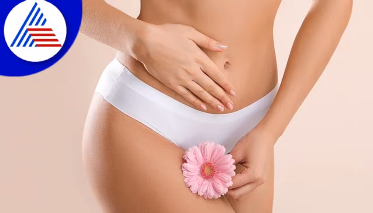 vaginal health vaginal health