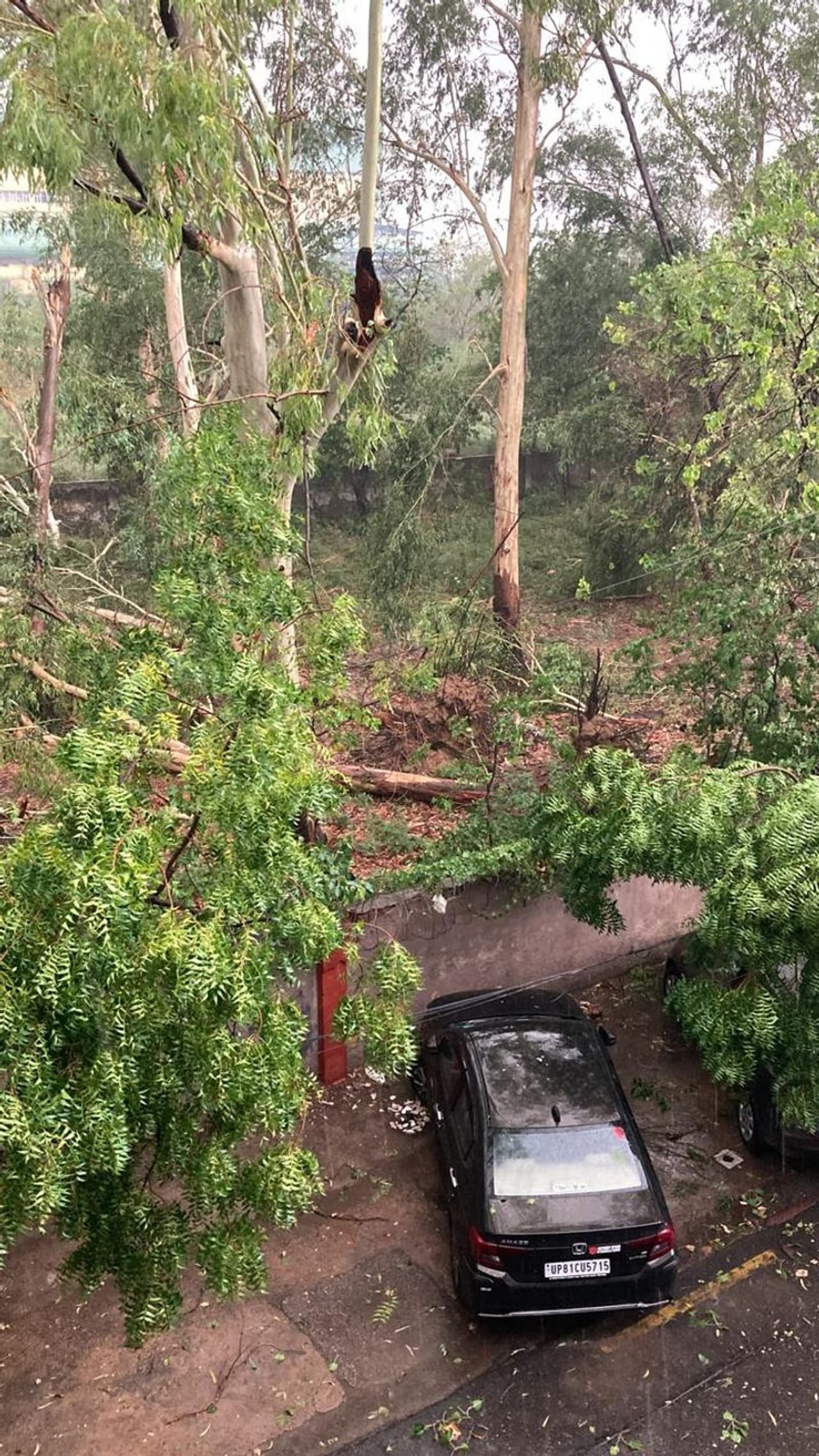 delhi rains delhi rains