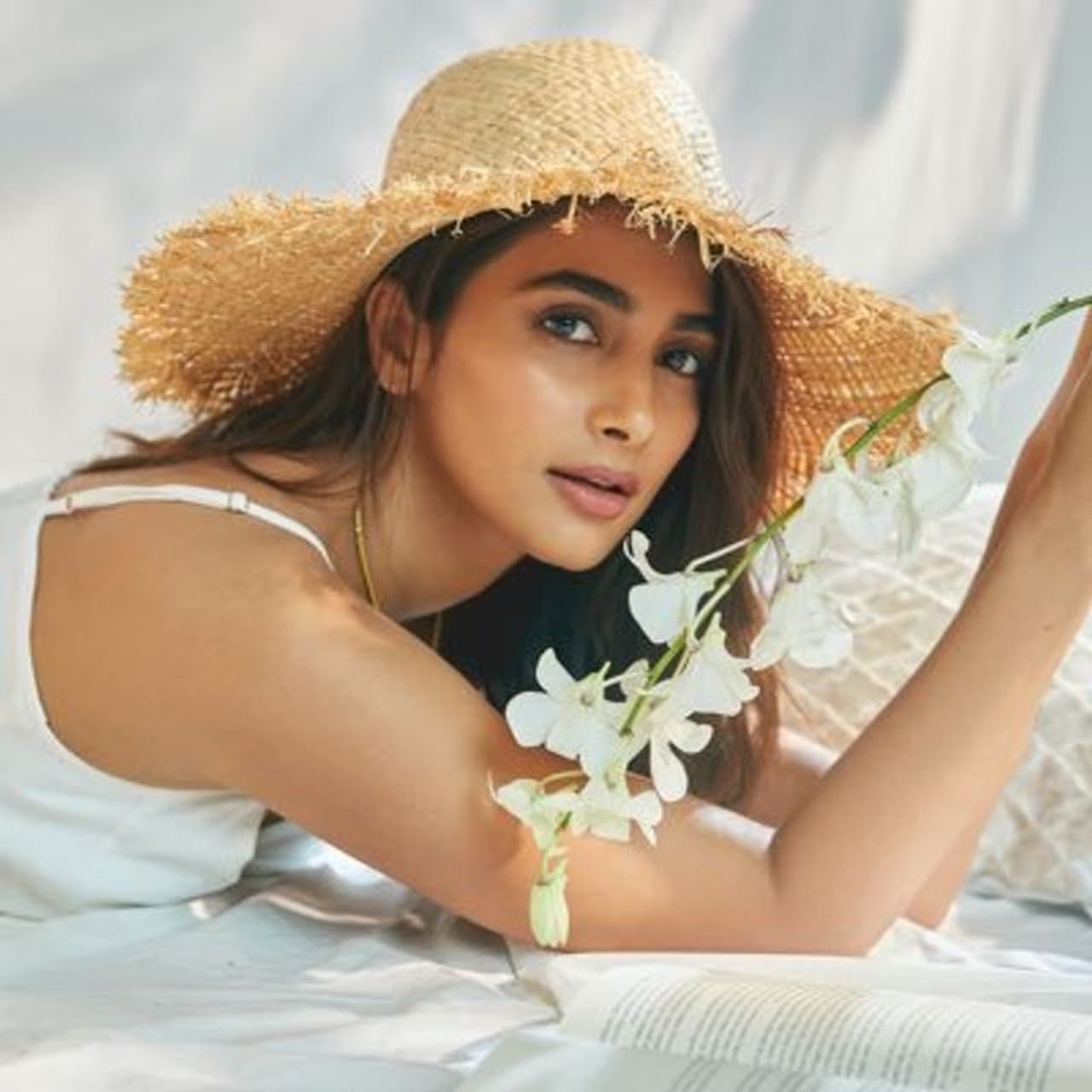 pooja hegde pooja hegde