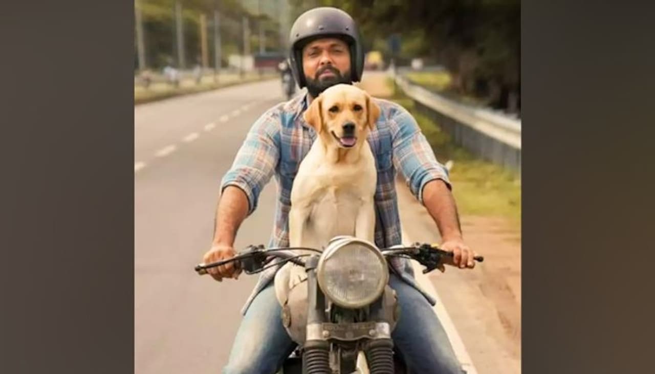 Image: Official film poster Image: Official film poster