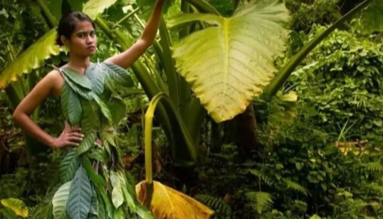 Photo courtesy: Rona