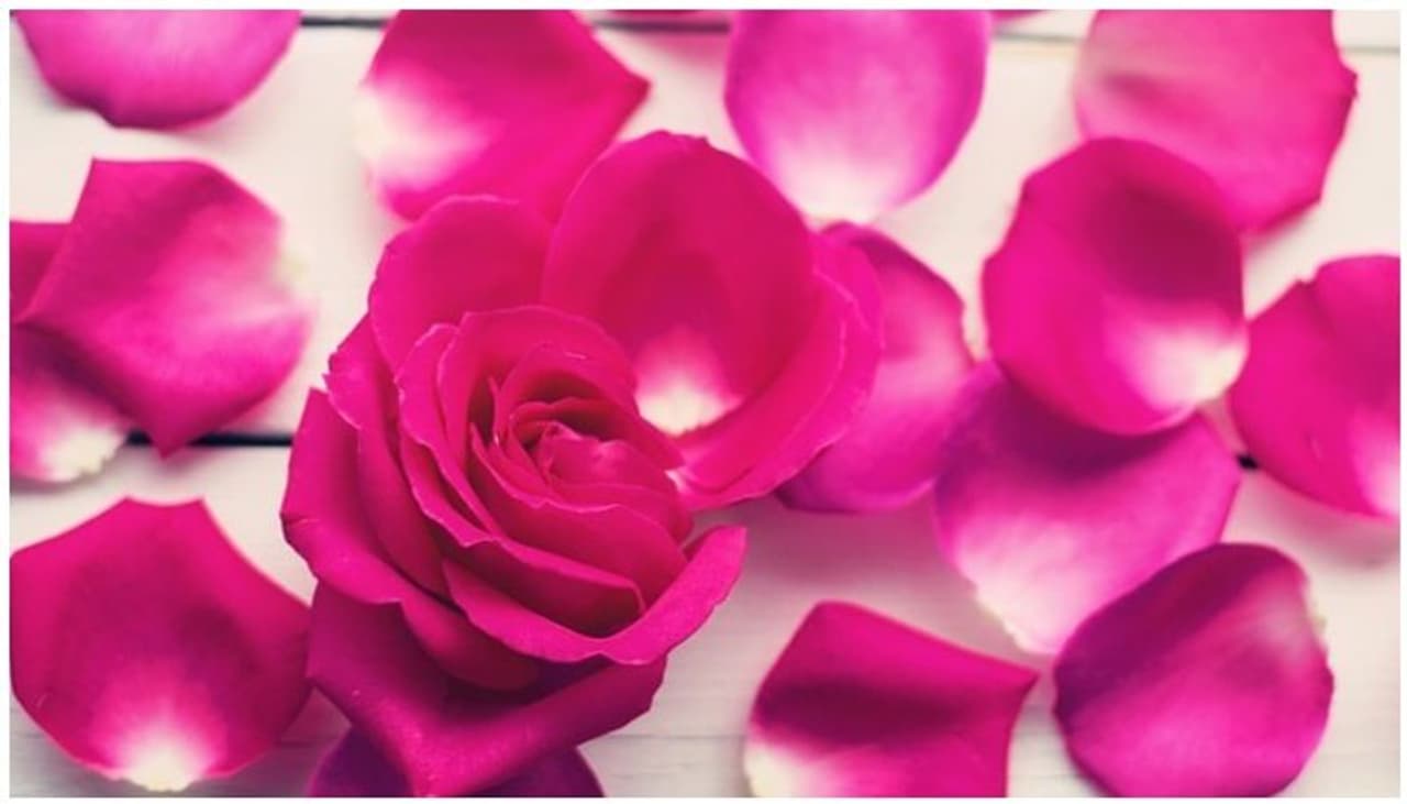 Rose Plants Vastu Tips In Tamil
