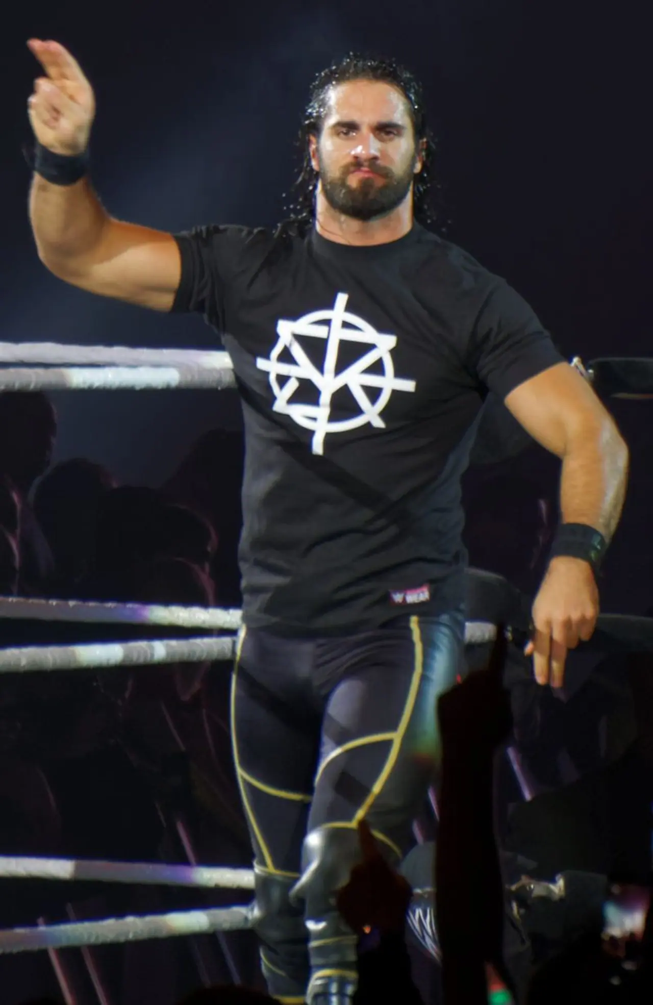 Seth Rollins Seth Rollins